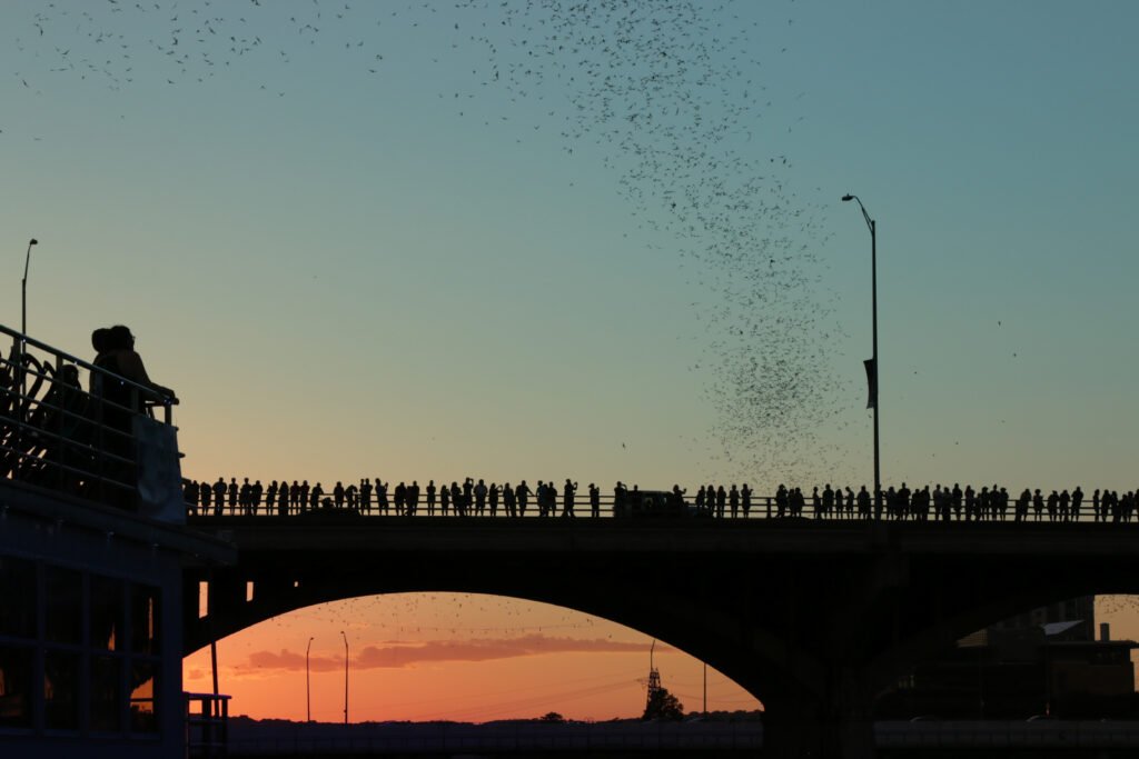 View of Landscapes, Nature, & Urban Photography - JAKE GOSSMAN